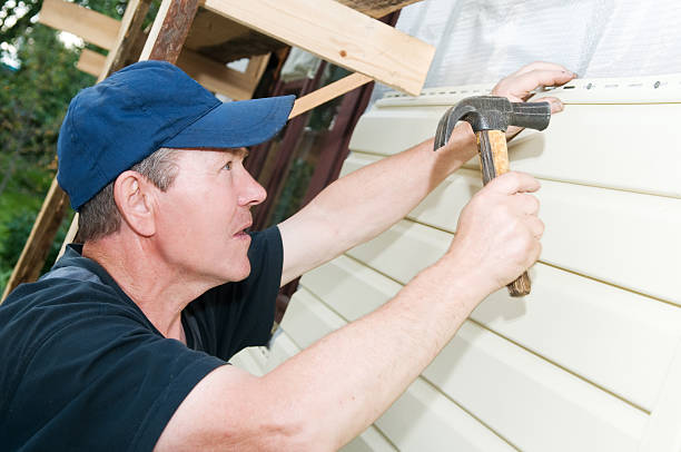 Best Steel Siding Installation  in Humansville, MO