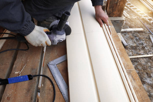 Best Weatherproofing and Sealing  in Humansville, MO